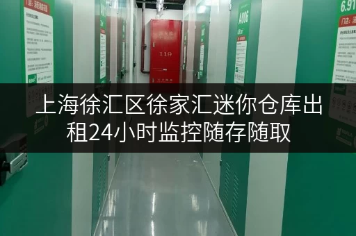 上海徐汇区徐家汇迷你仓库出租24小时监控随存随取