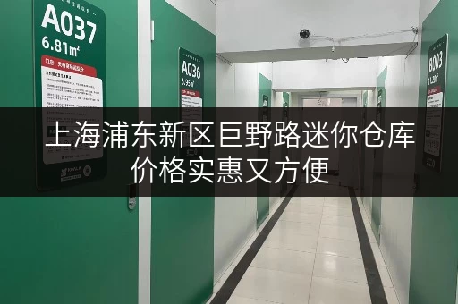 上海浦东新区巨野路迷你仓库价格实惠又方便