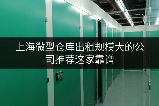 上海微型仓库出租规模大的公司推荐这家靠谱