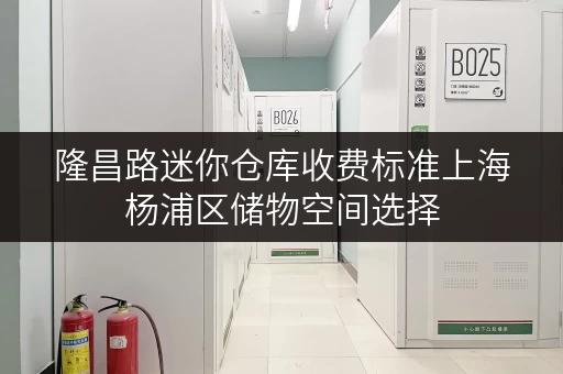 隆昌路迷你仓库收费标准上海杨浦区储物空间选择