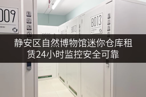 静安区自然博物馆迷你仓库租赁24小时监控安全可靠 静安区自然博物馆迷你仓库租赁24小时监控安全可靠