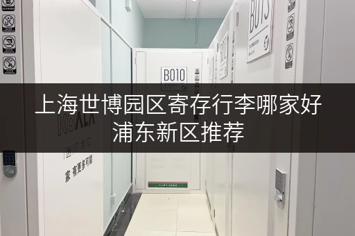 上海世博园区寄存行李哪家好浦东新区推荐