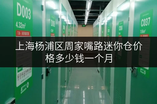 上海杨浦区周家嘴路迷你仓价格多少钱一个月 上海杨浦区周家嘴路迷你仓价格多少钱一个月