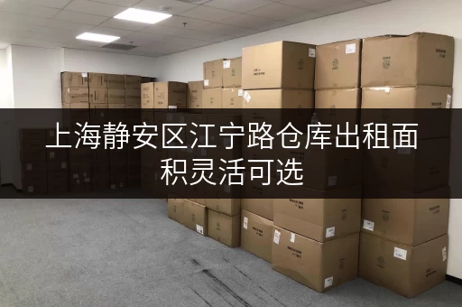 上海静安区江宁路仓库出租面积灵活可选 上海静安区江宁路仓库出租面积灵活可选