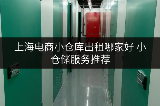 上海电商小仓库出租哪家好 小仓储服务推荐 上海电商小仓库出租哪家好 小仓储服务推荐