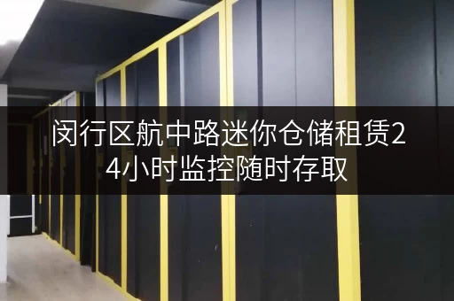 闵行区航中路迷你仓储租赁24小时监控随时存取 闵行区航中路迷你仓储租赁24小时监控随时存取