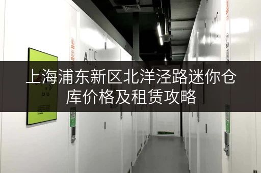 上海浦东新区北洋泾路迷你仓库价格及租赁攻略 上海浦东新区北洋泾路迷你仓库价格及租赁攻略
