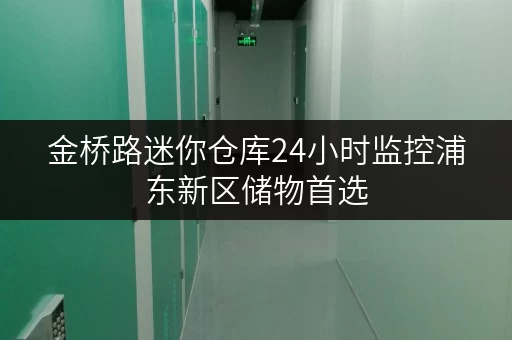 金桥路迷你仓库24小时监控浦东新区储物首选