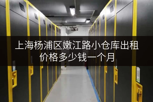 上海杨浦区嫩江路小仓库出租价格多少钱一个月