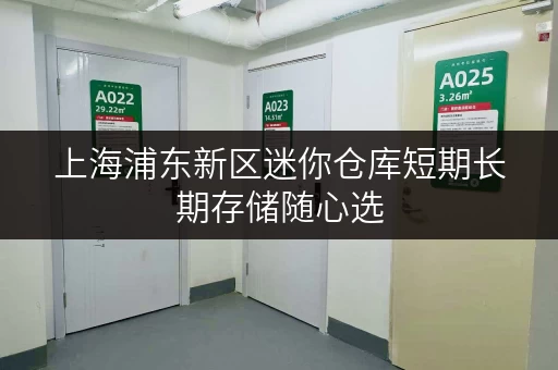 上海浦东新区迷你仓库短期长期存储随心选