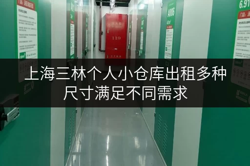 上海三林个人小仓库出租多种尺寸满足不同需求