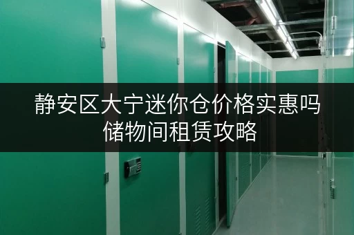 静安区大宁迷你仓价格实惠吗 储物间租赁攻略