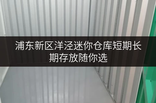 浦东新区洋泾迷你仓库短期长期存放随你选 浦东新区洋泾迷你仓库短期长期存放随你选