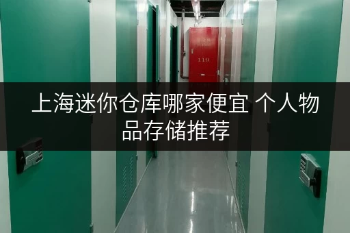 上海迷你仓库哪家便宜 个人物品存储推荐