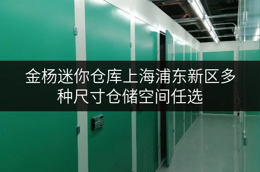 金杨迷你仓库上海浦东新区多种尺寸仓储空间任选
