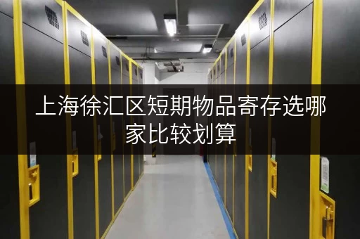 上海徐汇区短期物品寄存选哪家比较划算