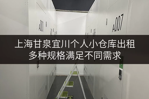 上海甘泉宜川个人小仓库出租多种规格满足不同需求 上海甘泉宜川个人小仓库出租多种规格满足不同需求