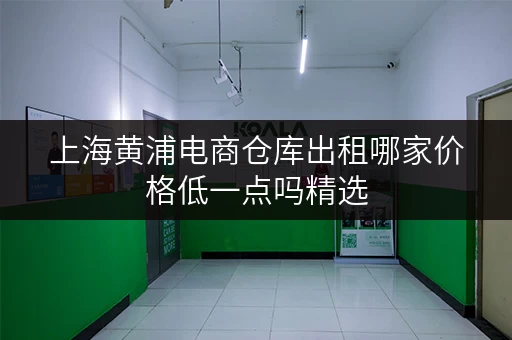 上海黄浦电商仓库出租哪家价格低一点吗精选 上海黄浦电商仓库出租哪家价格低一点吗精选