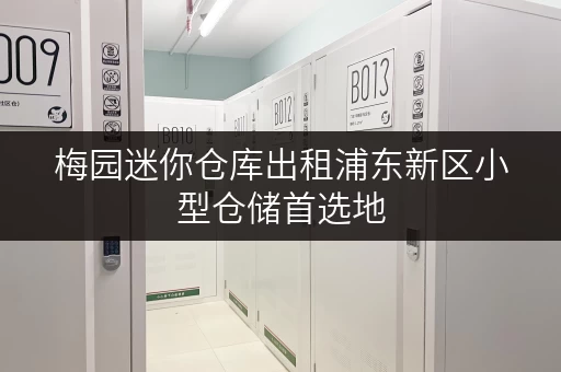 梅园迷你仓库出租浦东新区小型仓储首选地 梅园迷你仓库出租浦东新区小型仓储首选地