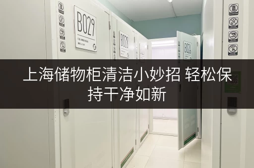 上海储物柜清洁小妙招 轻松保持干净如新