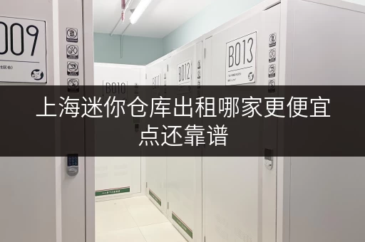 上海迷你仓库出租哪家更便宜点还靠谱