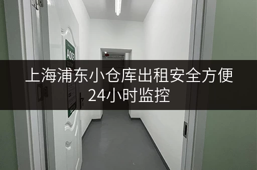 上海浦东小仓库出租安全方便24小时监控 上海浦东小仓库出租安全方便24小时监控