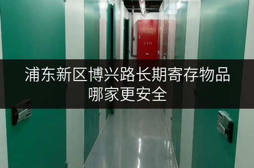 浦东新区博兴路长期寄存物品哪家更安全