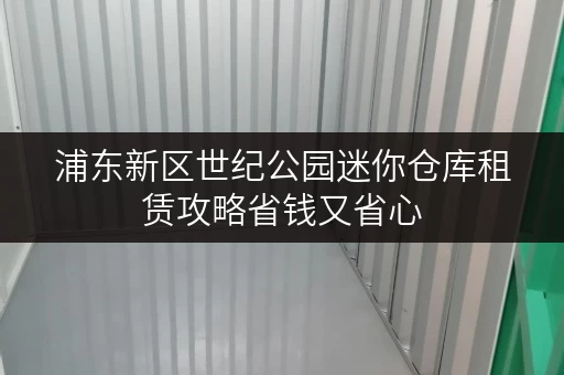浦东新区世纪公园迷你仓库租赁攻略省钱又省心