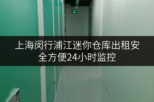 上海闵行浦江迷你仓库出租安全方便24小时监控
