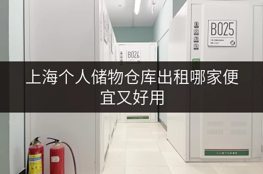上海个人储物仓库出租哪家便宜又好用