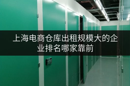 上海电商仓库出租规模大的企业排名哪家靠前