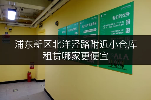 浦东新区北洋泾路附近小仓库租赁哪家更便宜