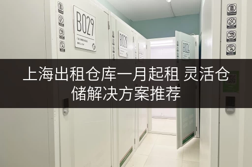 上海出租仓库一月起租 灵活仓储解决方案推荐 上海出租仓库一月起租 灵活仓储解决方案推荐