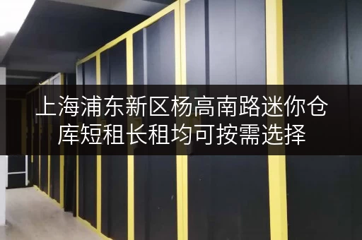 上海浦东新区杨高南路迷你仓库短租长租均可按需选择