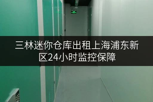 三林迷你仓库出租上海浦东新区24小时监控保障