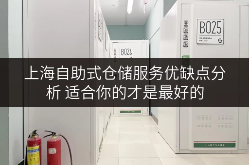 上海自助式仓储服务优缺点分析 适合你的才是最好的