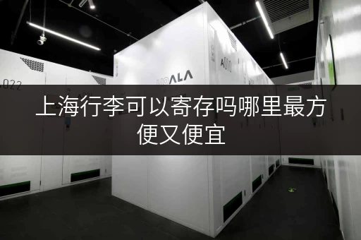 上海行李可以寄存吗哪里最方便又便宜