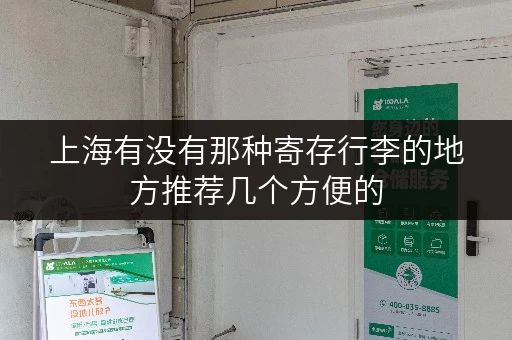 上海有没有那种寄存行李的地方推荐几个方便的