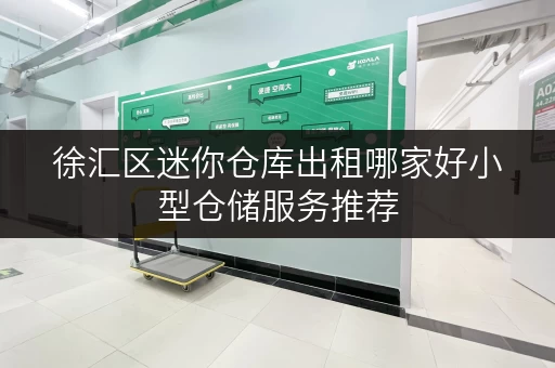 徐汇区迷你仓库出租哪家好小型仓储服务推荐
