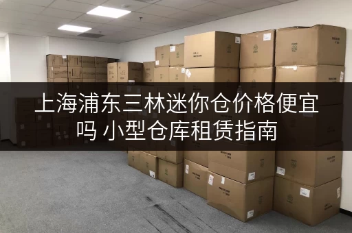 上海浦东三林迷你仓价格便宜吗 小型仓库租赁指南