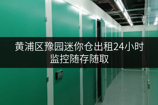 黄浦区豫园迷你仓出租24小时监控随存随取