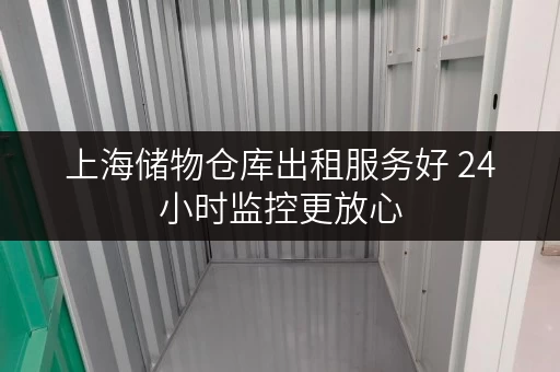 上海储物仓库出租服务好 24小时监控更放心 上海储物仓库出租服务好 24小时监控更放心