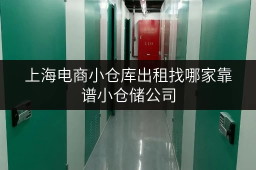 上海电商小仓库出租找哪家靠谱小仓储公司