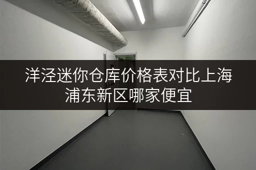 洋泾迷你仓库价格表对比上海浦东新区哪家便宜