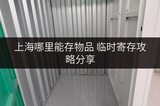 上海哪里能存物品 临时寄存攻略分享