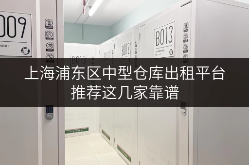 上海浦东区中型仓库出租平台推荐这几家靠谱