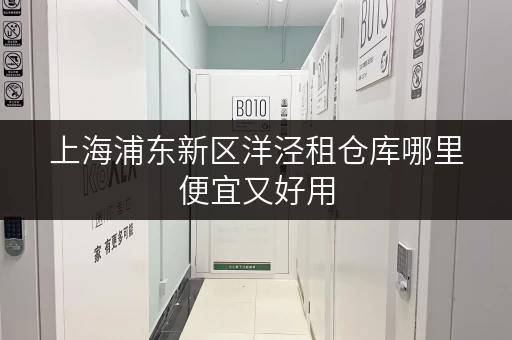 上海浦东新区洋泾租仓库哪里便宜又好用 上海浦东新区洋泾租仓库哪里便宜又好用