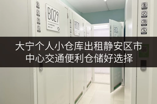 大宁个人小仓库出租静安区市中心交通便利仓储好选择 大宁个人小仓库出租静安区市中心交通便利仓储好选择