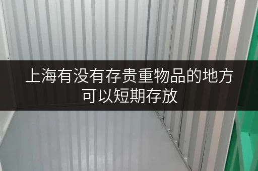 上海有没有存贵重物品的地方可以短期存放 上海有没有存贵重物品的地方可以短期存放