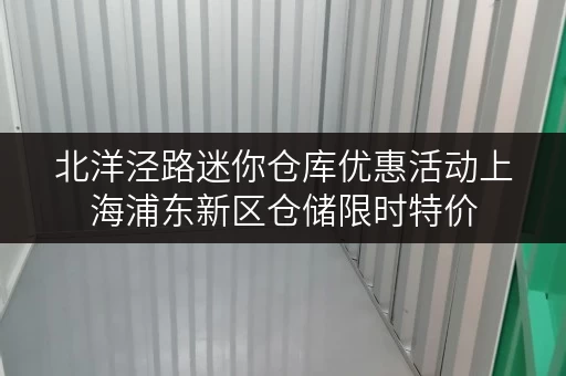 北洋泾路迷你仓库优惠活动上海浦东新区仓储限时特价